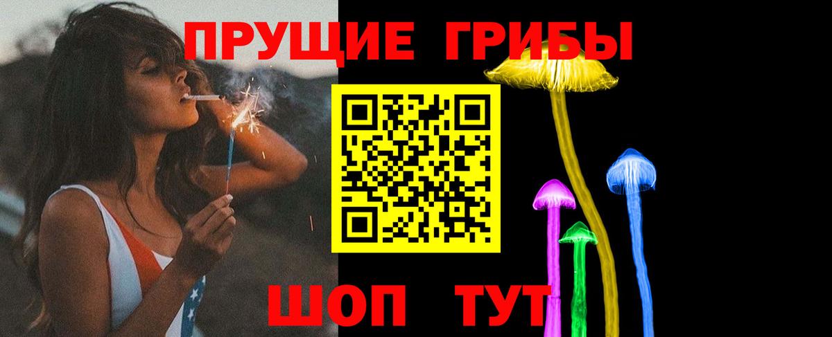 Псилоцибиновые грибы прущие грибы Гусиноозёрск